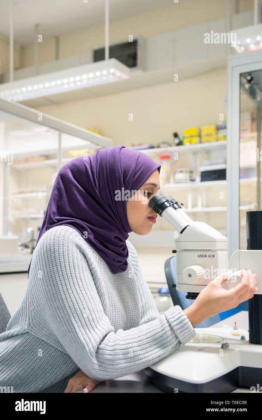 A muslim woman uses the scientific equipment in a research laboratory ...