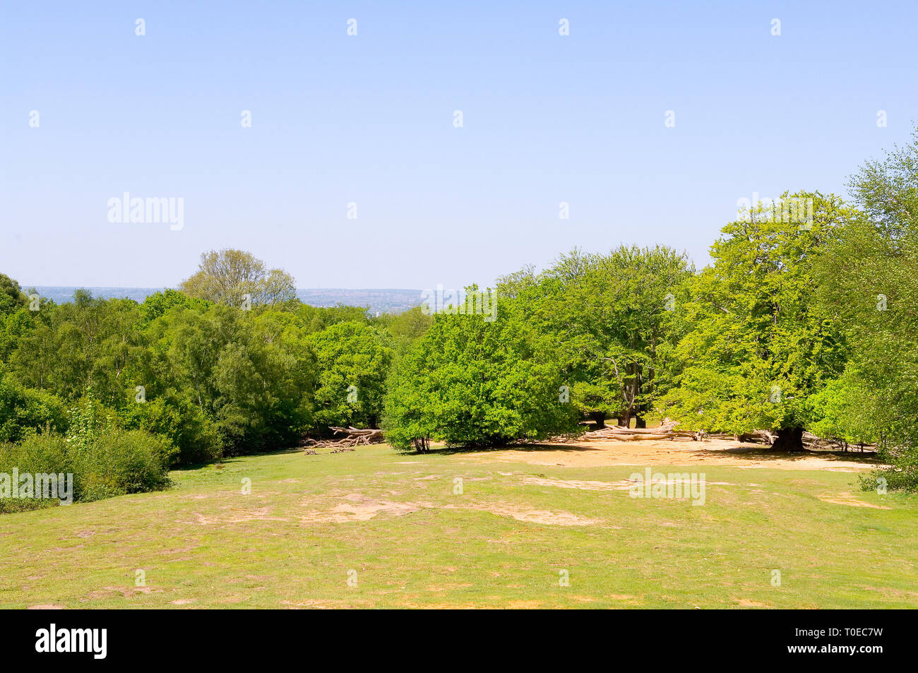 Deserted epping forest hires stock photography and images Alamy