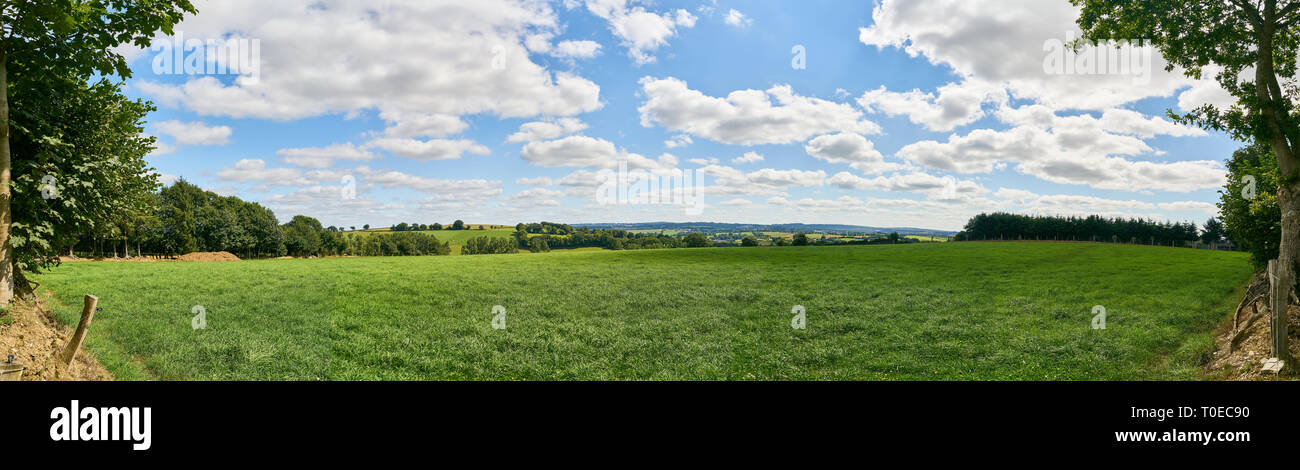 Green meadow as a panorama background with a blue sky in summer Stock ...