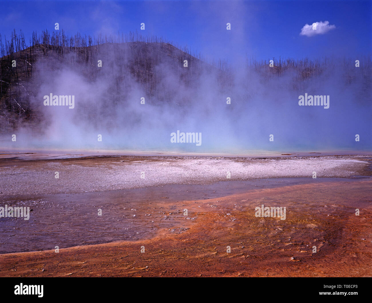 USA. Wyoming. Yellowstone National Park. Midway Geyser Basin. Grand Prismatic Spring. Stock Photo