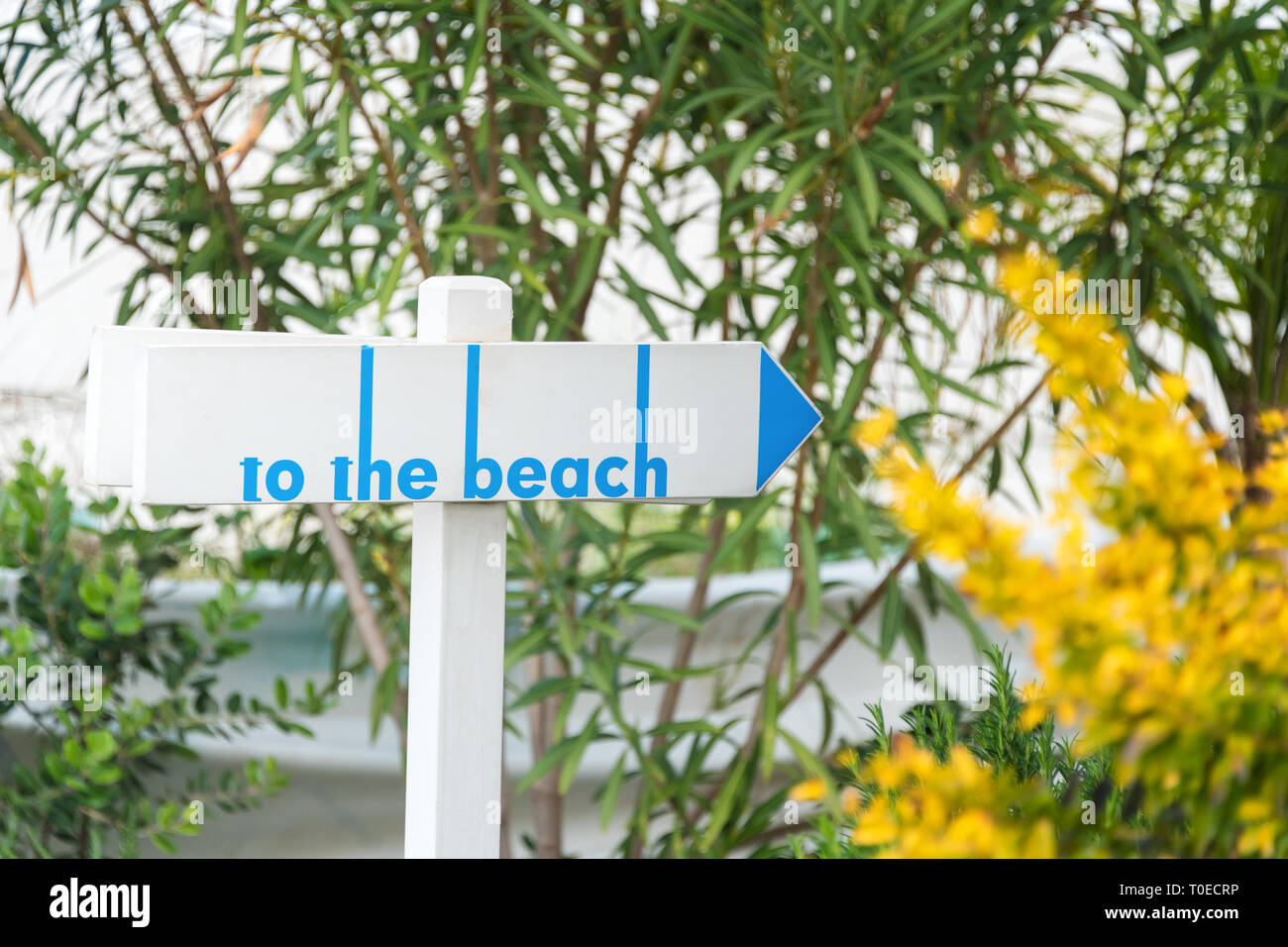 Beach sign on a wooden table. Beach access path Stock Photo