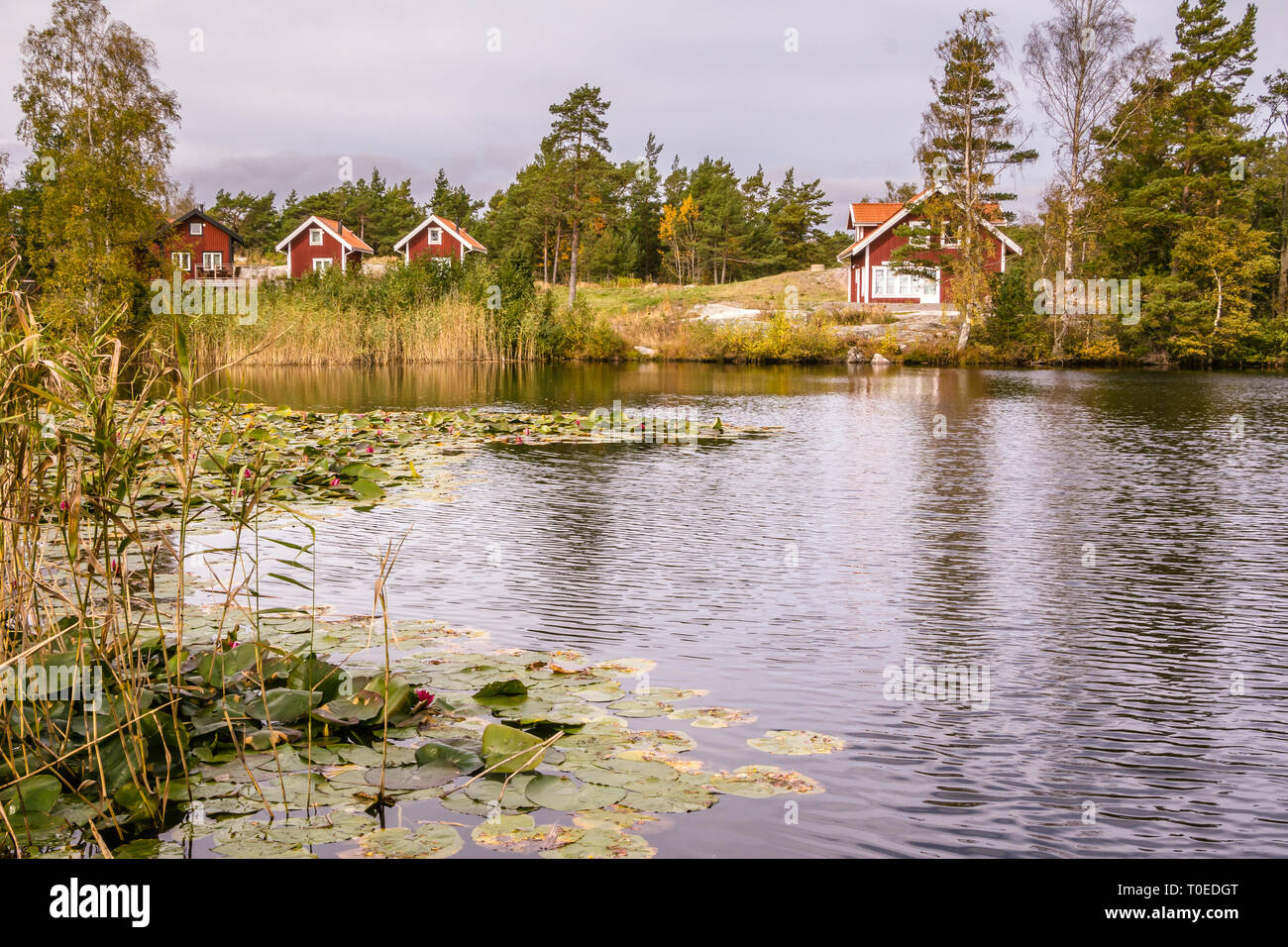Traditional Red Wooden Holiday Homes In Sweden Europe Stock Photo