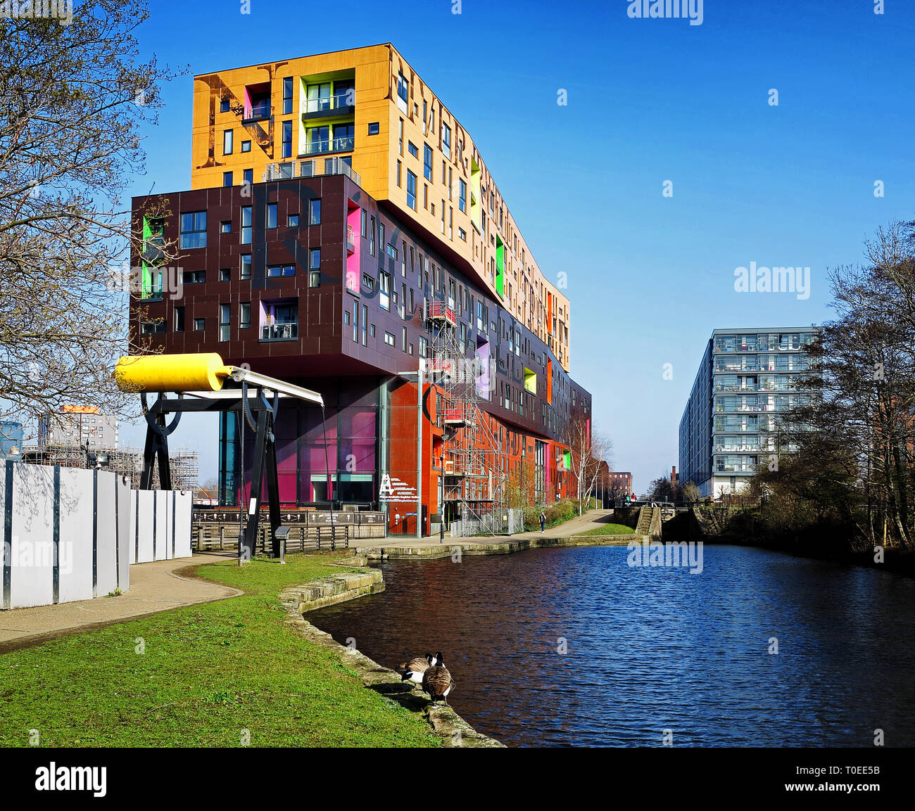 The colourful Chips Building, by Urban Splash, on the Ashton Canal, Ancoats, Manchester Stock Photo