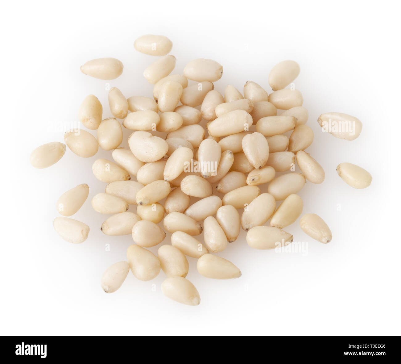 Shelled cedar pine nuts isolated on white background with clipping path