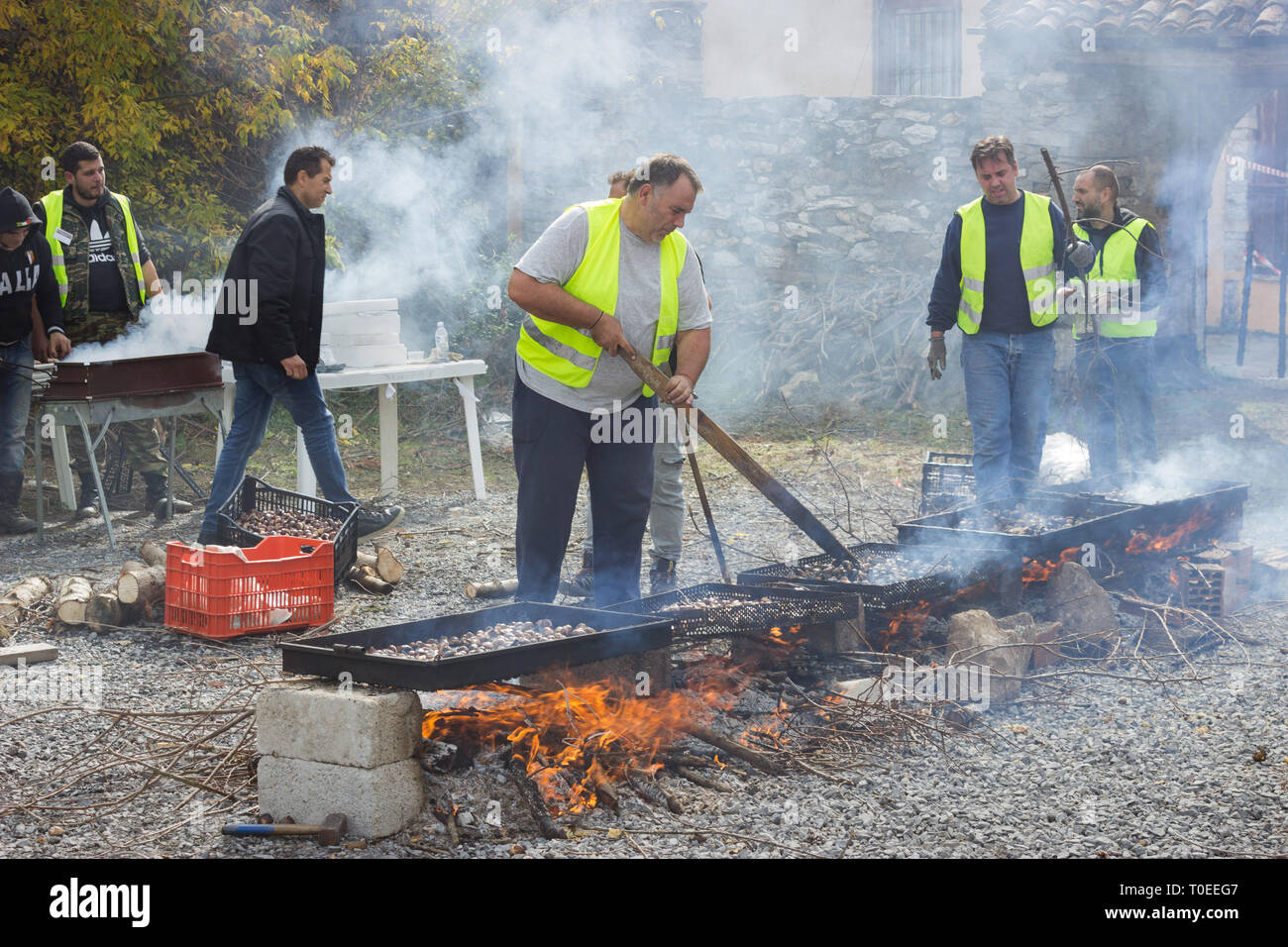Roaster scrambles up the charred chestnuts in the trays during Leivadi's village yearly chesten nuts festival, Thessalonica, Greek Macedonia, Greece Stock Photo