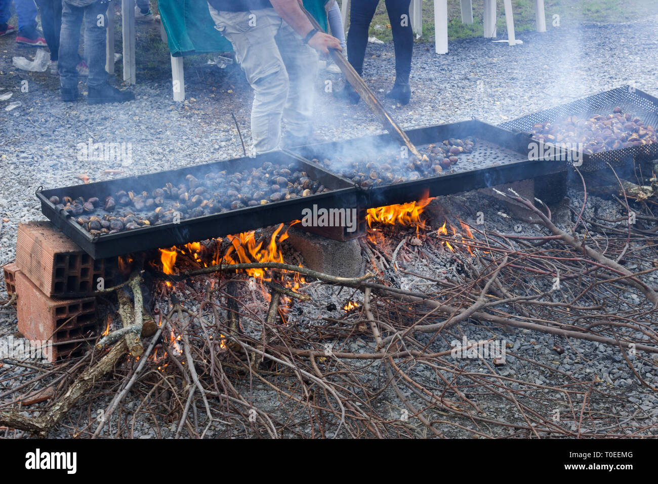 A hand-picked batch of raw sweet chestnuts getting roasted on an open fire in Livadi, during the annual festival.Thessalonica, Thermi, Greece Stock Photo