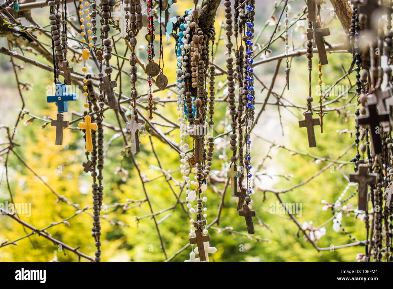 This is a capture of a branch of a tree which hold a lot of rosaries. Faithful people come to this tree and put their wish on it and pray Stock Photo