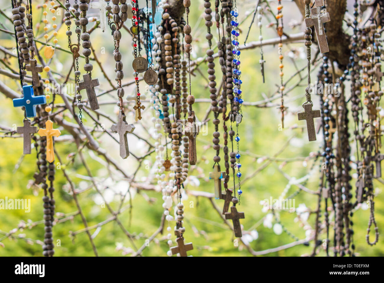 This is a capture of a branch of a tree which hold a lot of rosaries. Faithful people come to this tree and put their wish on it and pray Stock Photo