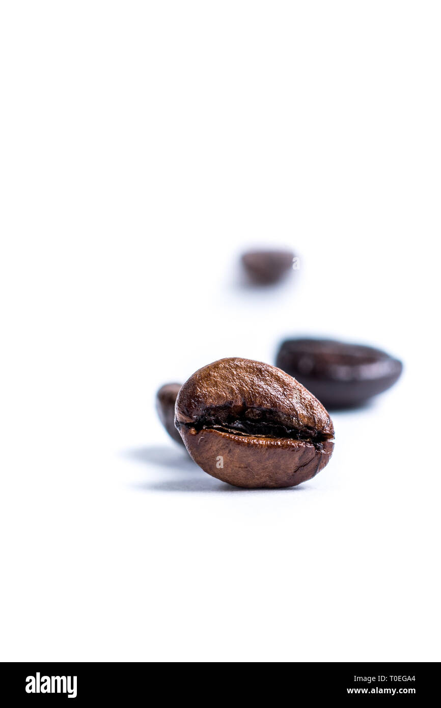 Roasted coffee bean isolated on white background with copy space Stock ...