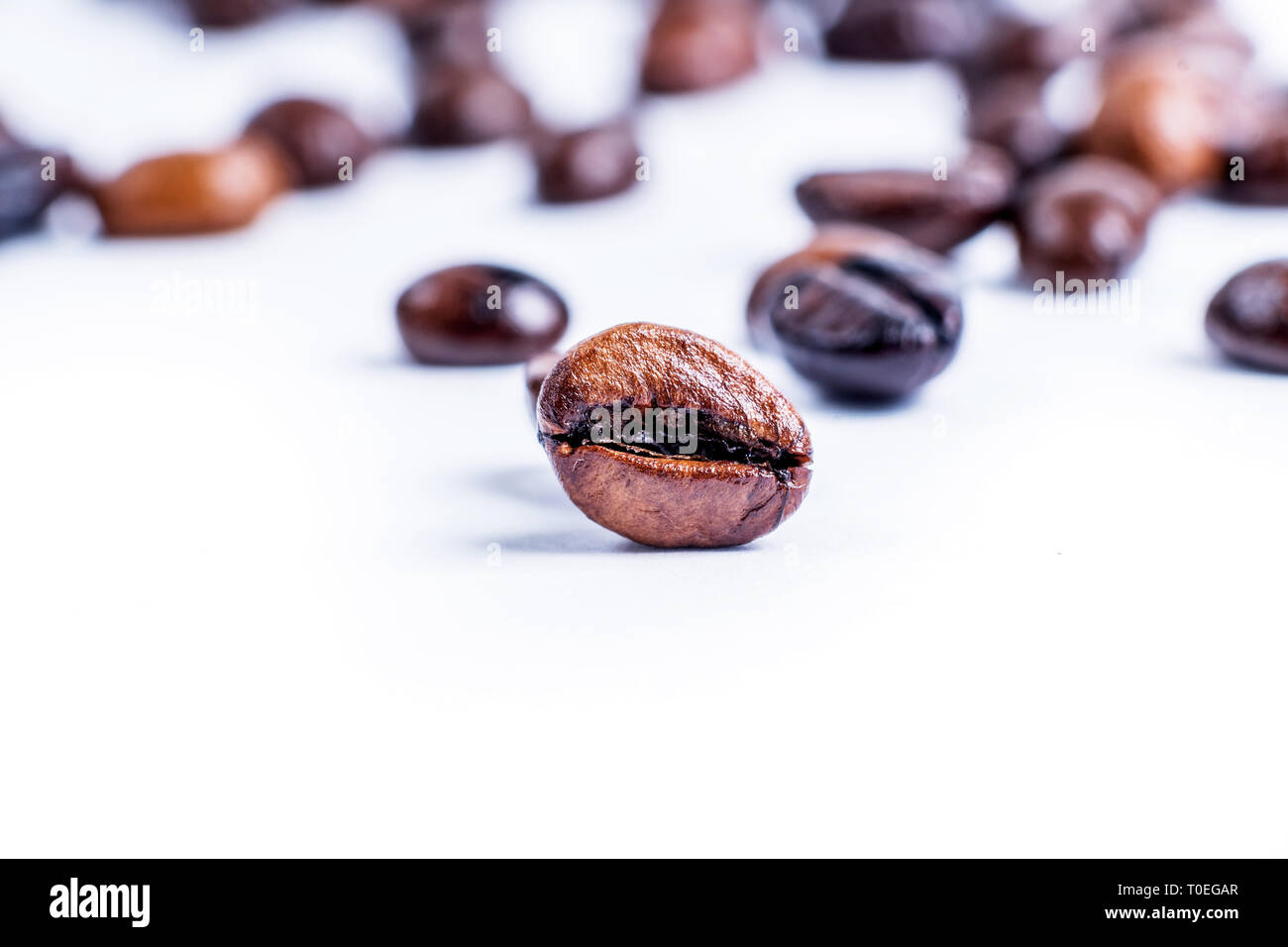 Roasted coffee bean isolated on white background with copy space Stock ...