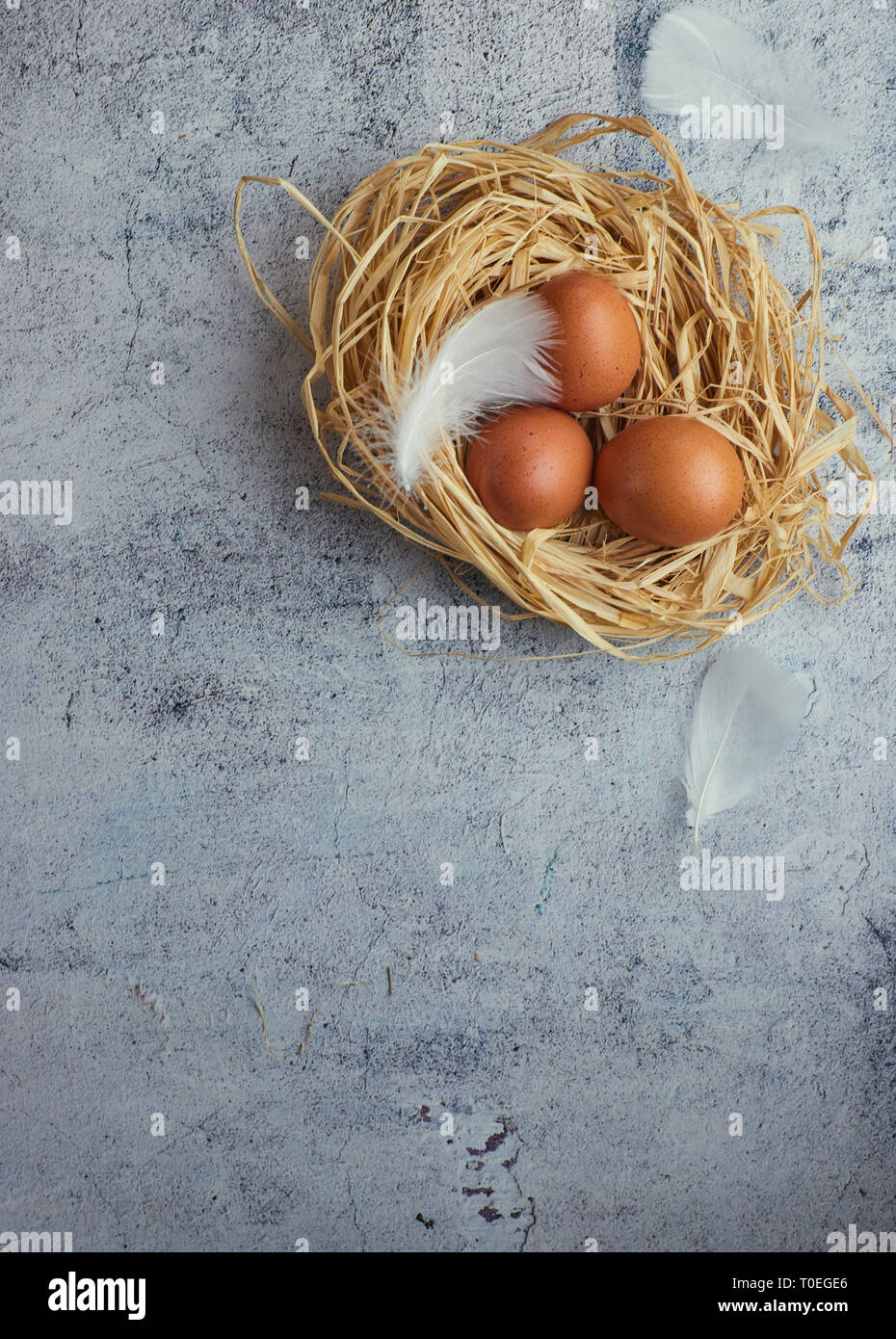 Top view of three brown chicken eggs in a nest of straw on gray concrete. Plenty of room for text. Copy space Stock Photo