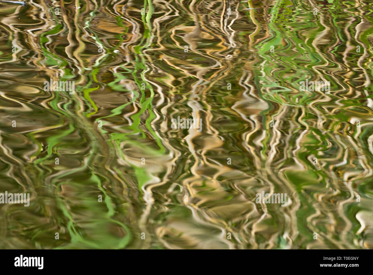 Abstract reflection of reeds in rippled water, Westhay Moor SWT reserve, Somerset Levels, Somerset, England, UK Stock Photo