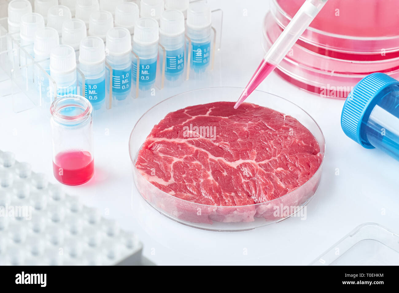 Meat Sample In Open Disposable Plastic Cell Culture Dish In Modern Laboratory Or Production Facility Concept Of Clean Meat Cultured In Vitro From An Stock Photo Alamy