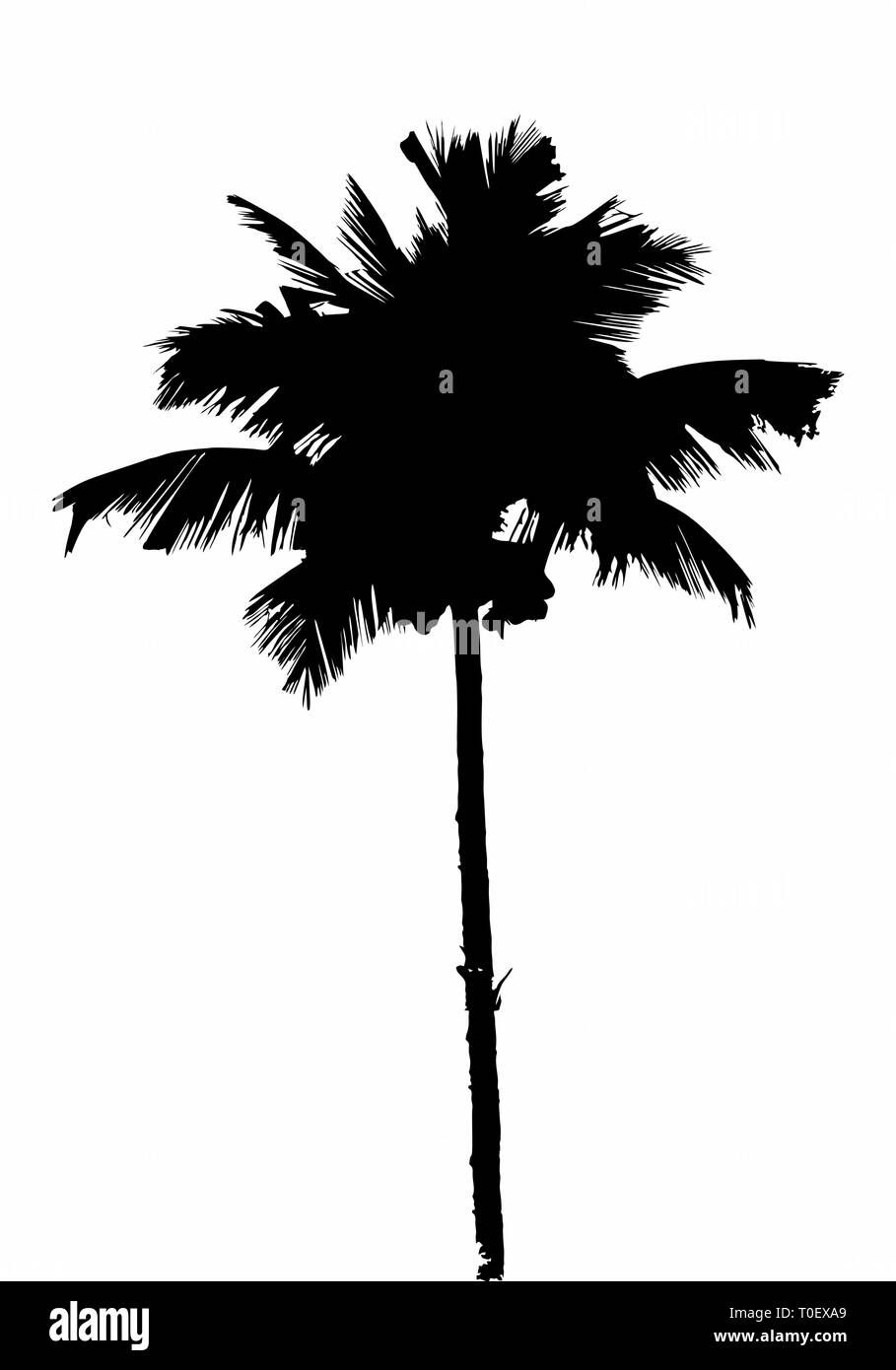 Palm tree silhouette Stock Vector