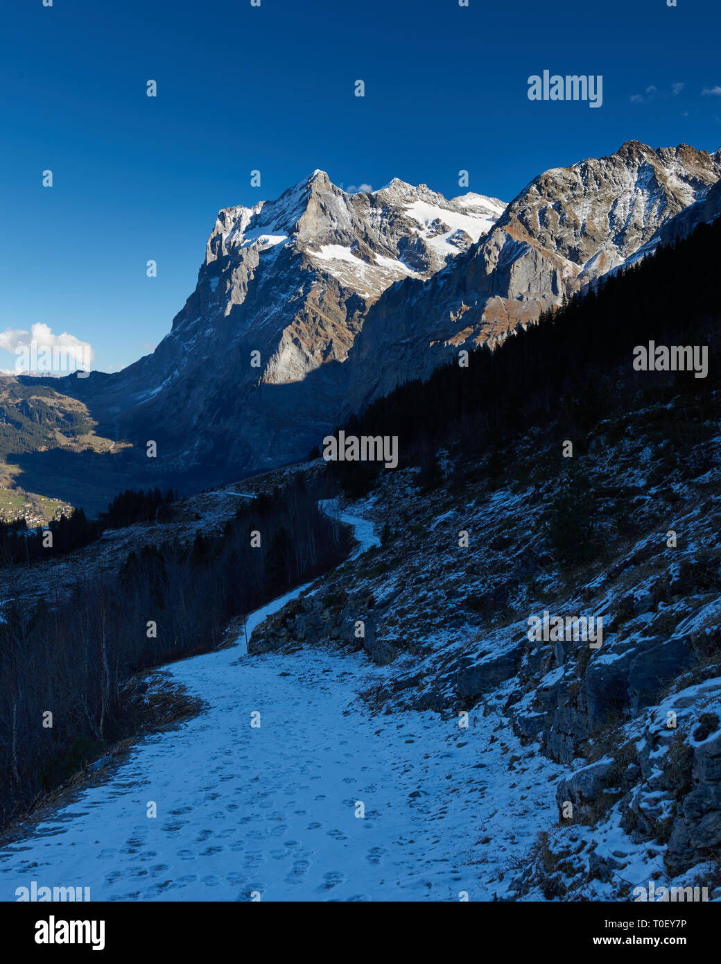 Unplugged in the Jungfrau region. A breathtaking long view along the snow covered Alpiglen trail as it traverses in Eiger's North Face shadow. Stock Photo