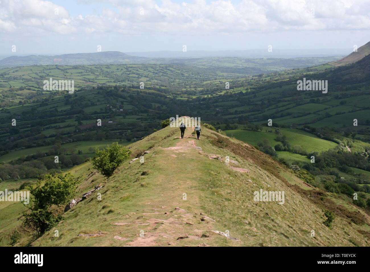 View from Black Hill, otherwise known as the Cat's Back in the Black Mountains between Longtown & Craswall. Hereforshire, United Kingdom. Stock Photo