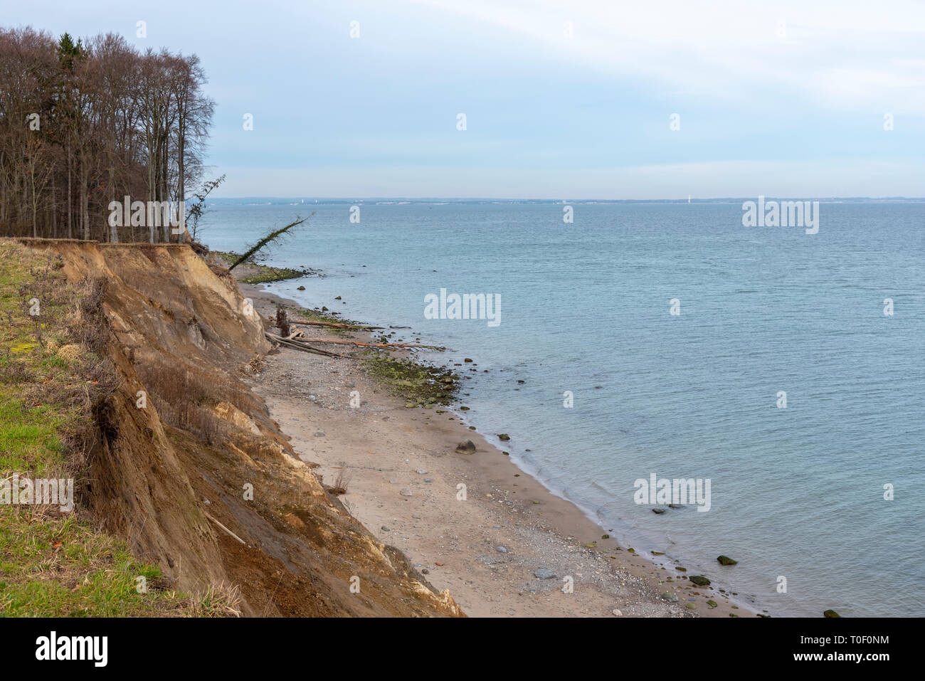 Steilküste am Brodtener Ufer bei Travemünde, Schleswig-Holstein, Deutschland Stock Photo