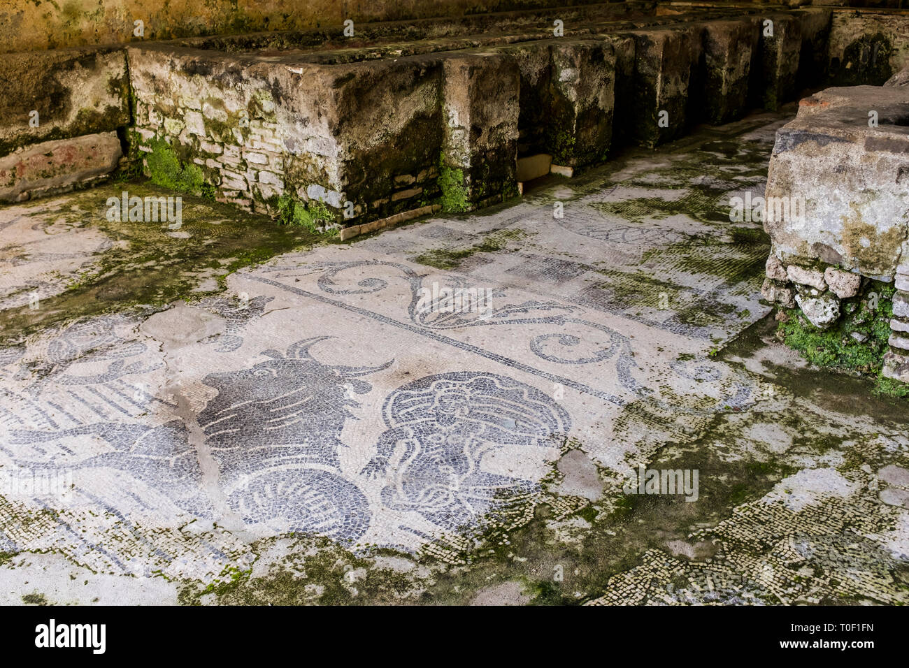 Mosaic details at the Villa Romana, an ancient Roman archaeological site hidden in the village of Minori, Italy on the Amalfi Coast Stock Photo