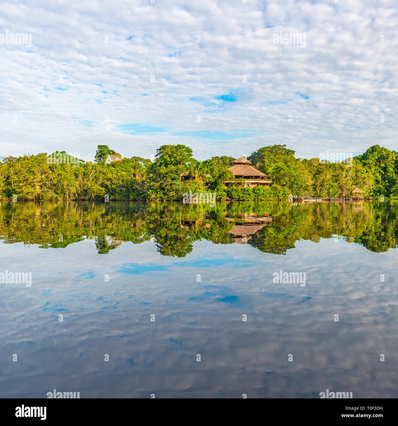 Found in guyana hi-res stock photography and images - Alamy