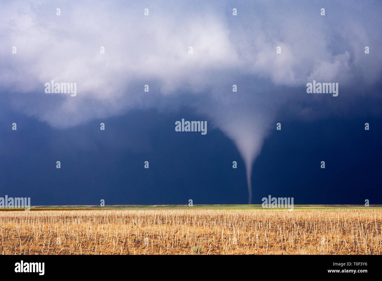 Tornado twister develops from a storm cloud near Bushnell, Nebraska Stock Photo