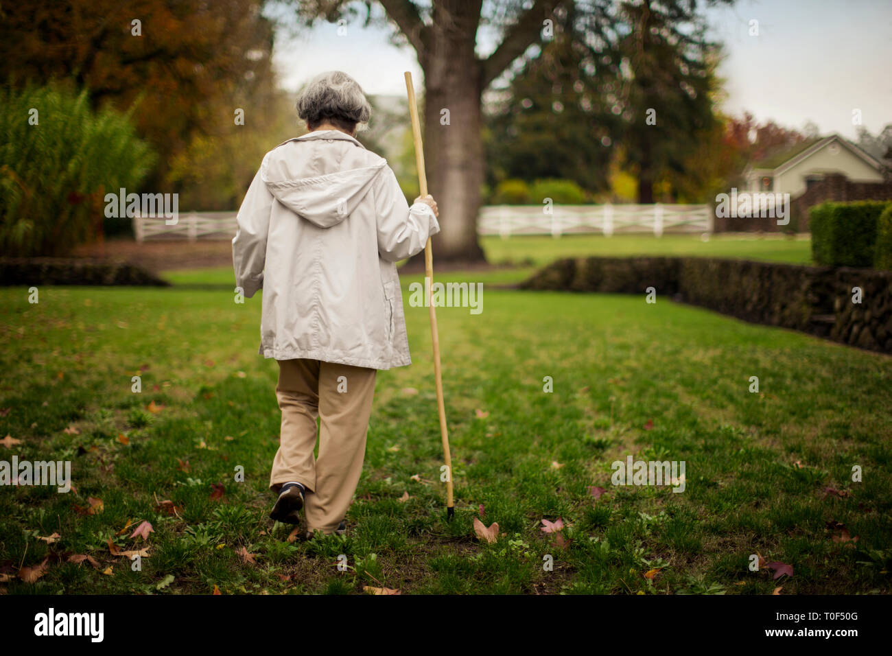 Senior woman walking in park hi-res stock photography and images - Alamy