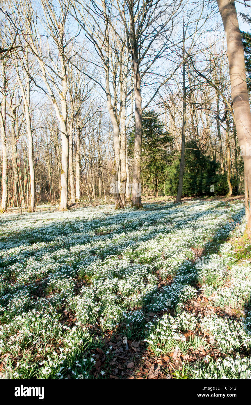 Late winter to early spring hires stock photography and images Alamy