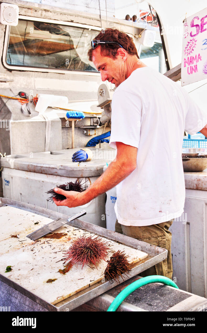 RICHMOND, CANADA - JUL 24, 2010: A fisherman in his trawler selling sea urchins at the picturesque seaside village of Steveston's Fisherman's Wharf in Stock Photo