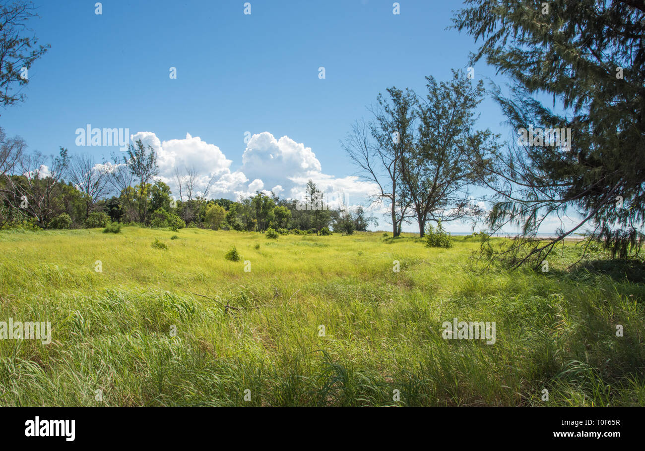 at the Casuarina Coastal Reserve in Casuarina, Australia Stock Photo