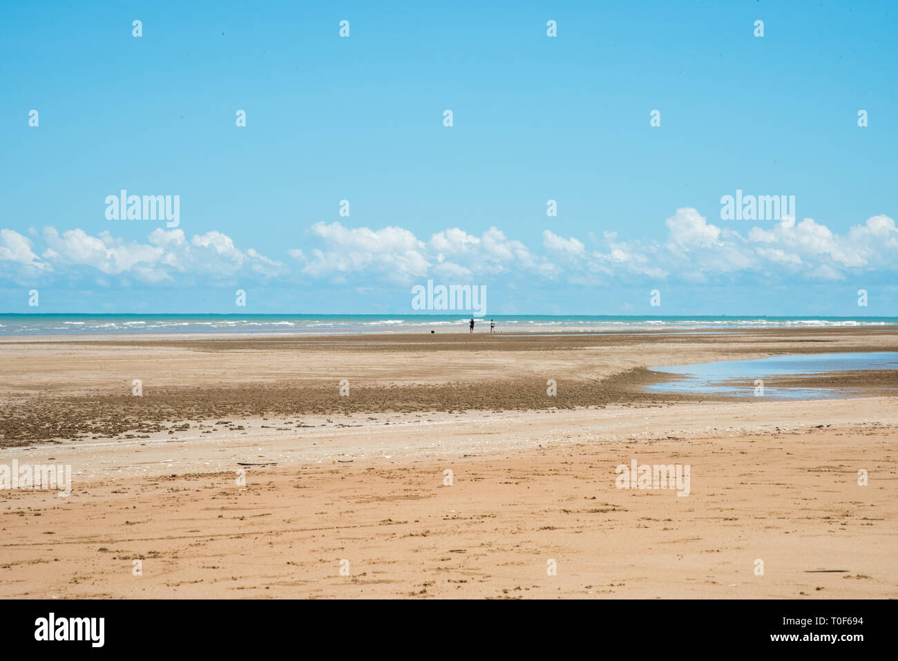 Timor Stock Photos Timor Stock Images Page 14 Alamy - 