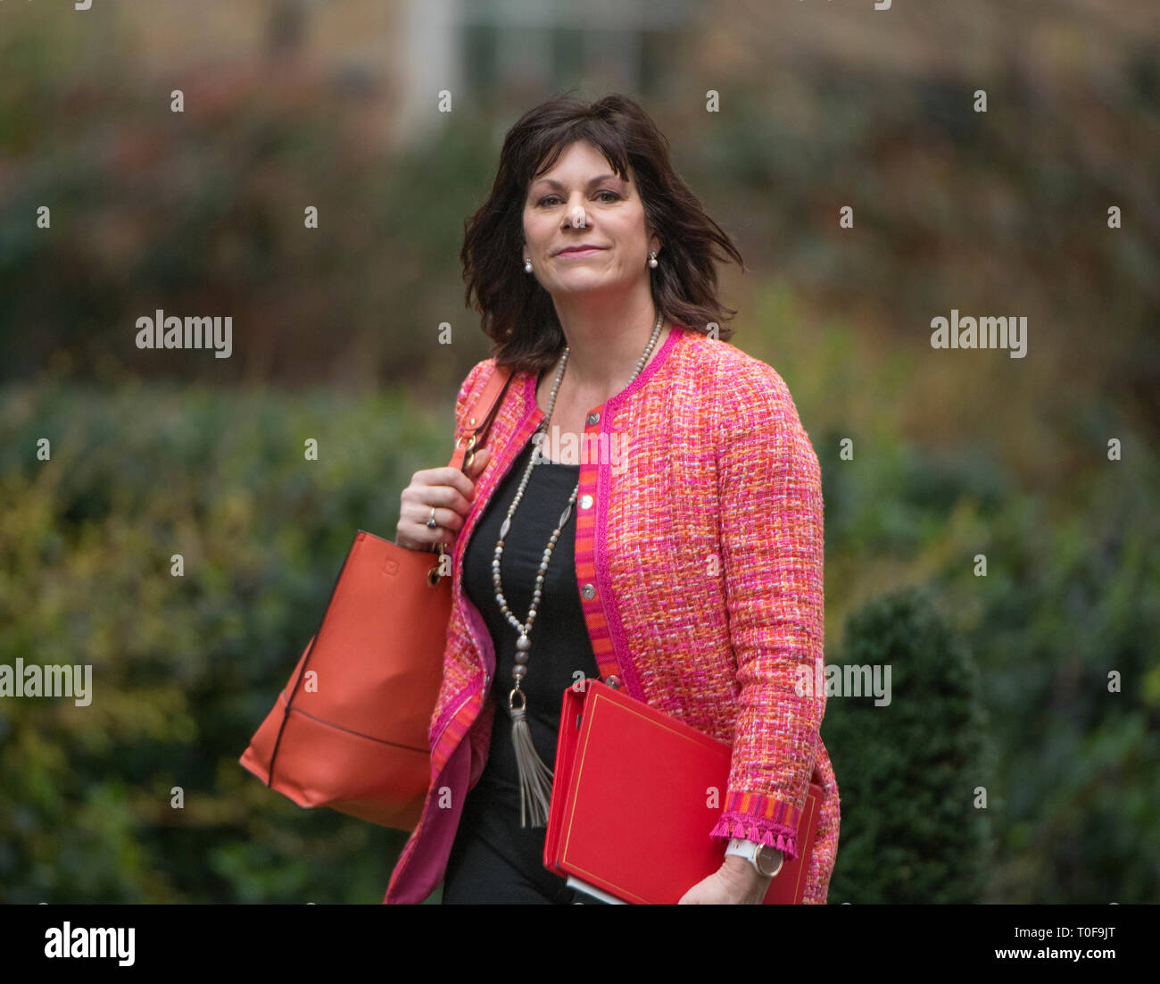 London, UK. 19th March 2019.  Claire Perry, Minister of State for Energy and Clean Growth in Downing Street for weekly cabinet meeting. Credit: Malcolm Park/Alamy Live News. Stock Photo