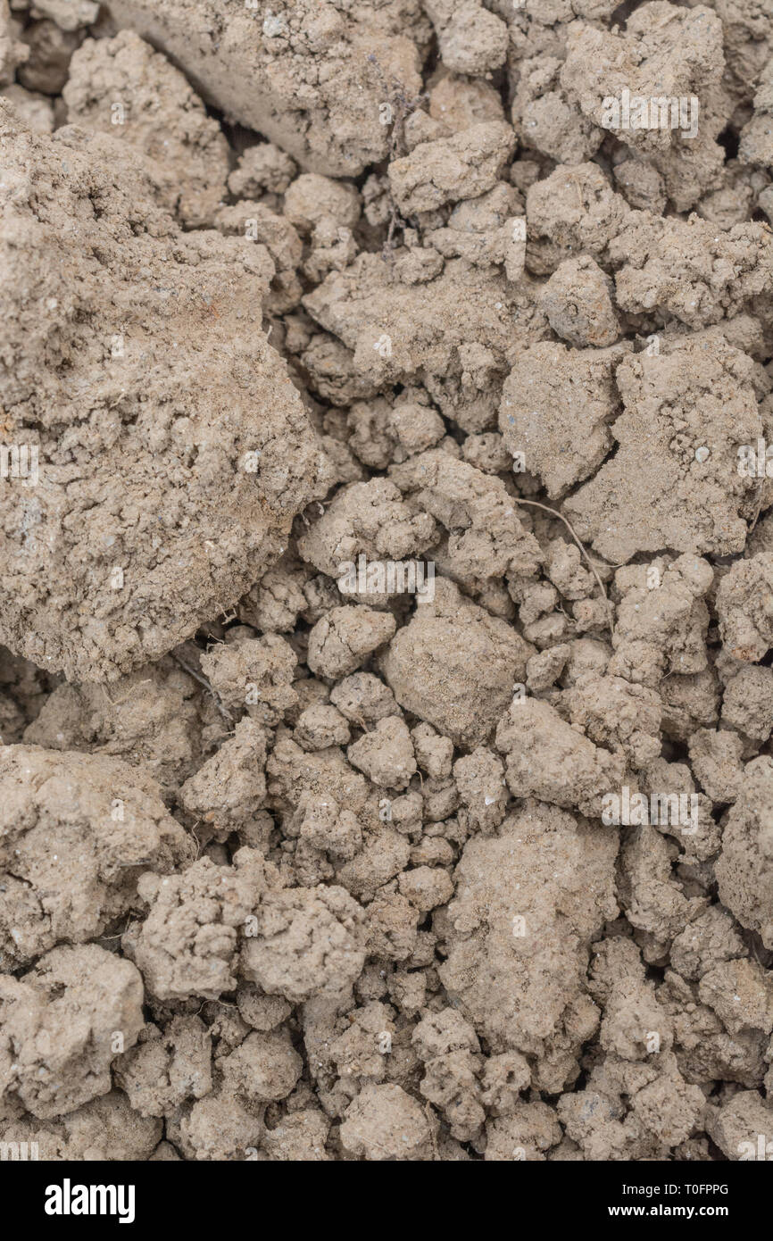 Soil Structure Massive