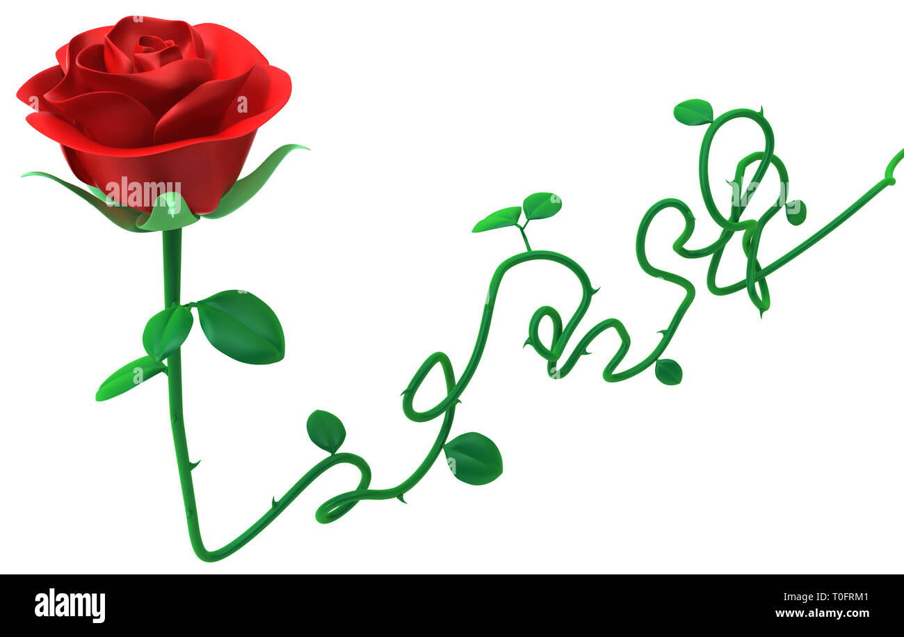 Red rose long stem object isolated, 3d illustration, horizontal Stock