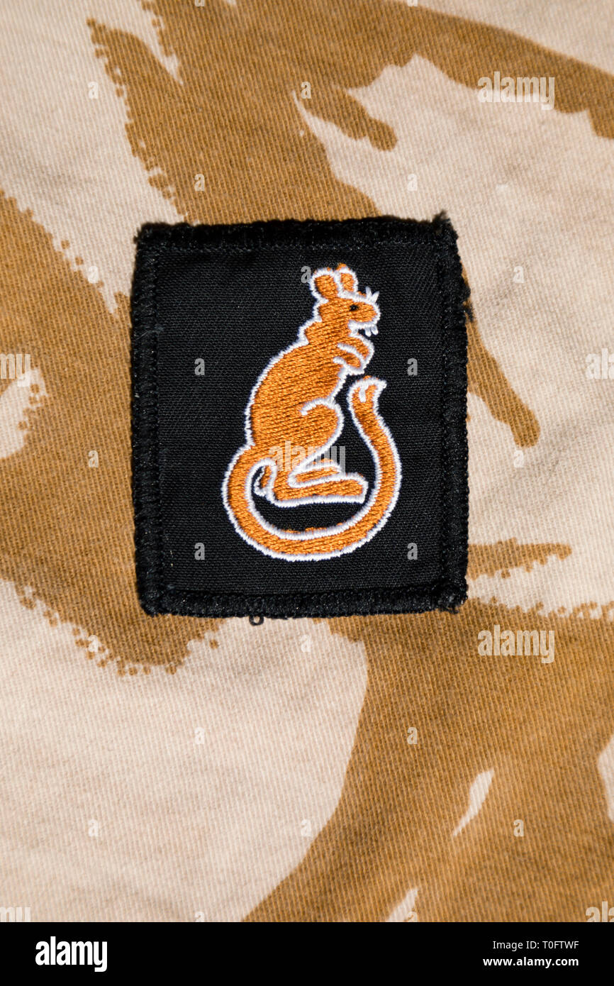 1990 Gulf War 7th Armoured Brigade 'Desert Rats' badge on desert camouflage pattern material Stock Photo