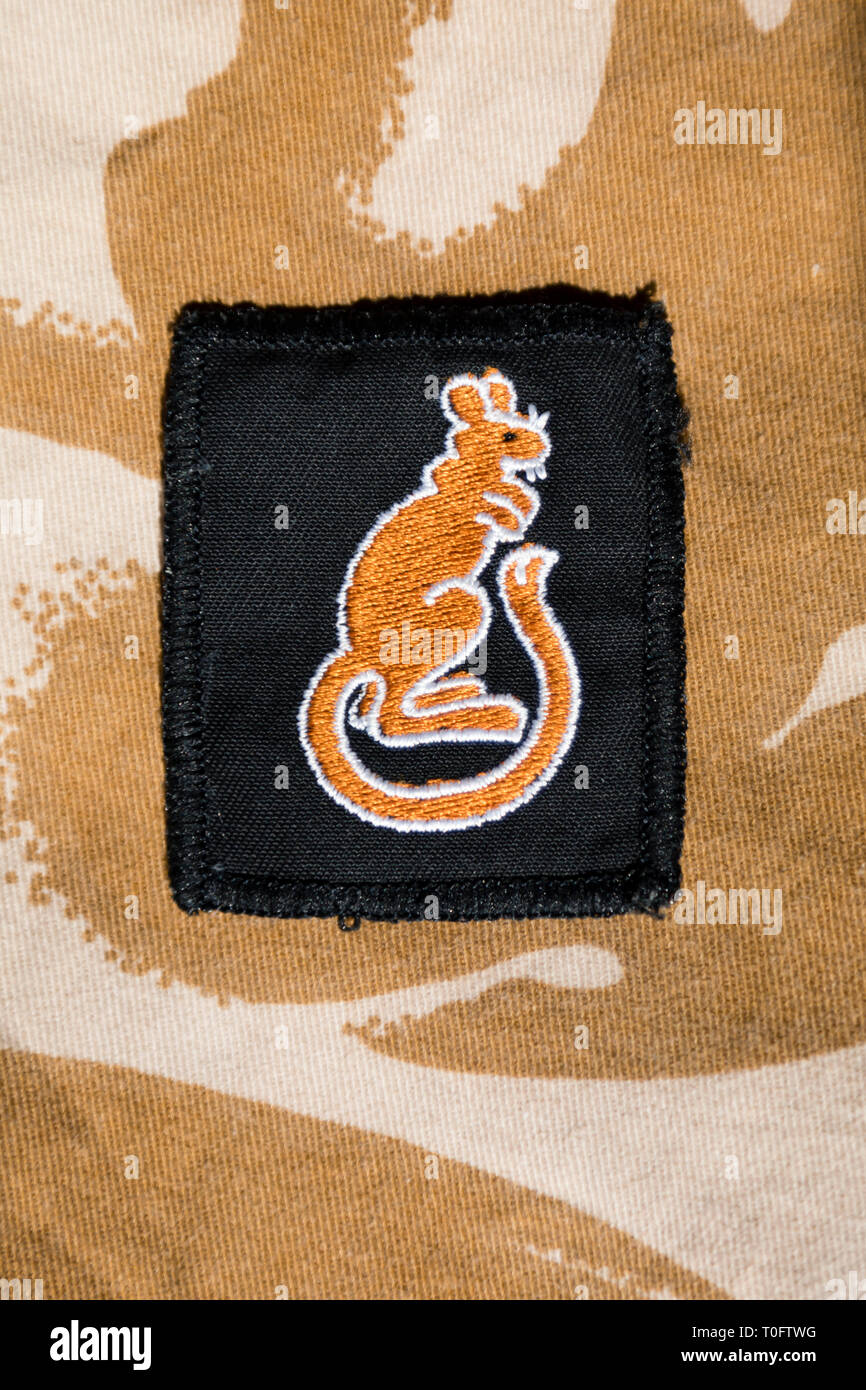 1990 Gulf War 7th Armoured Brigade 'Desert Rats' badge on desert camouflage pattern material Stock Photo