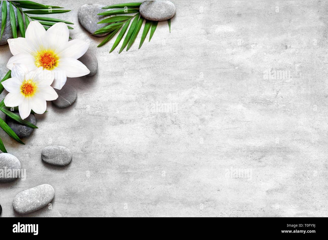 Flat lay composition with spa stones, flower and space for text on grey ...