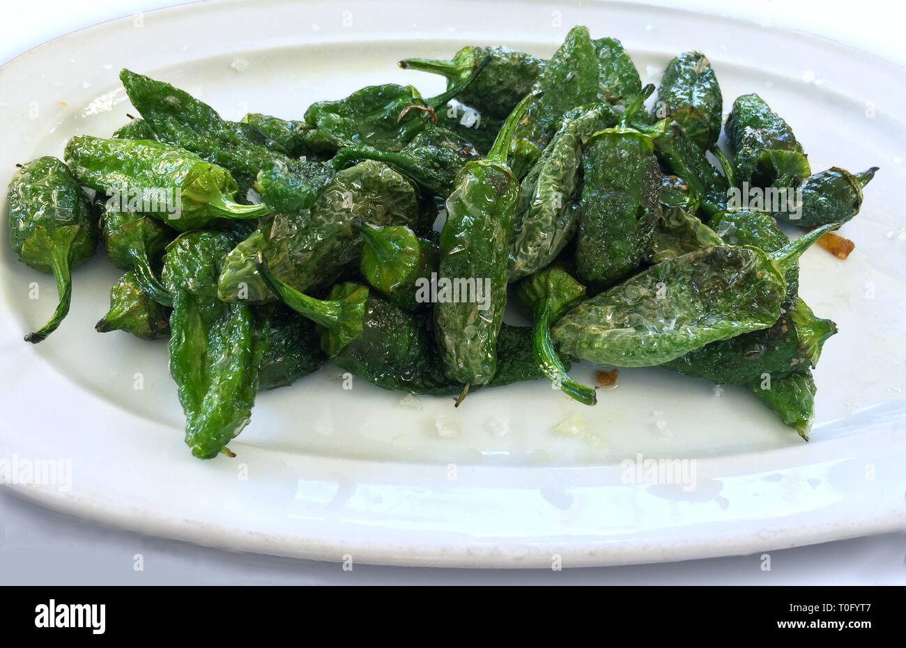 A plate of perfectly fried padron peppers on a white plate isolated on a white background Stock Photo