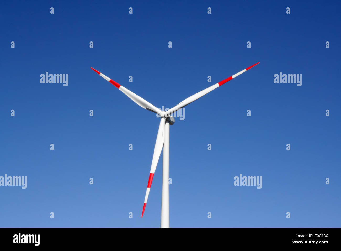 Windmill field. Electric power plant. Wind force power plant. Ecological power plant. Stock Photo
