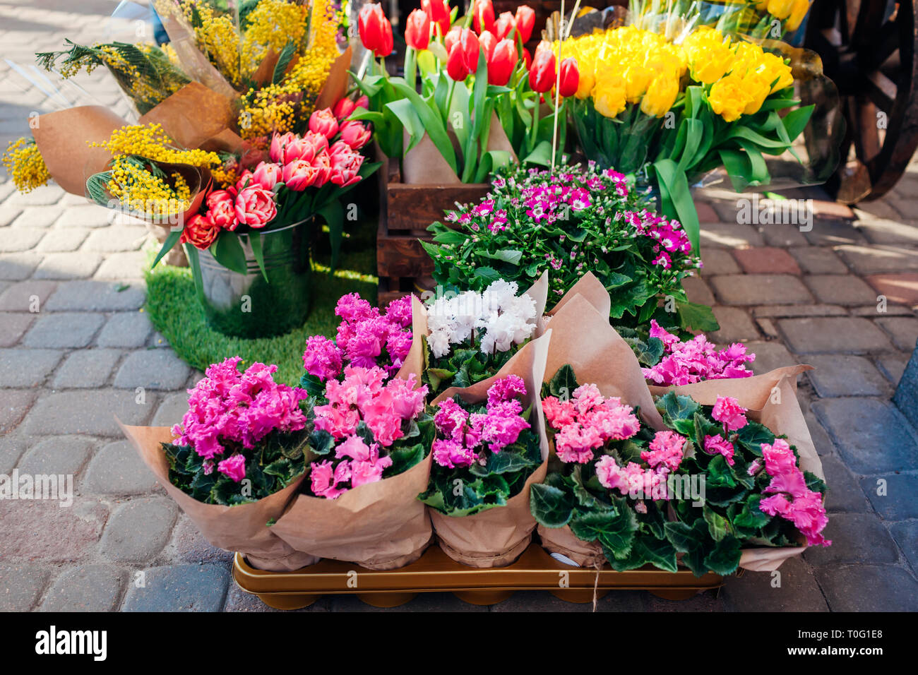 Mothers Day Present Flowers / 21 Mother S Day Flower Ideas Mother S Day