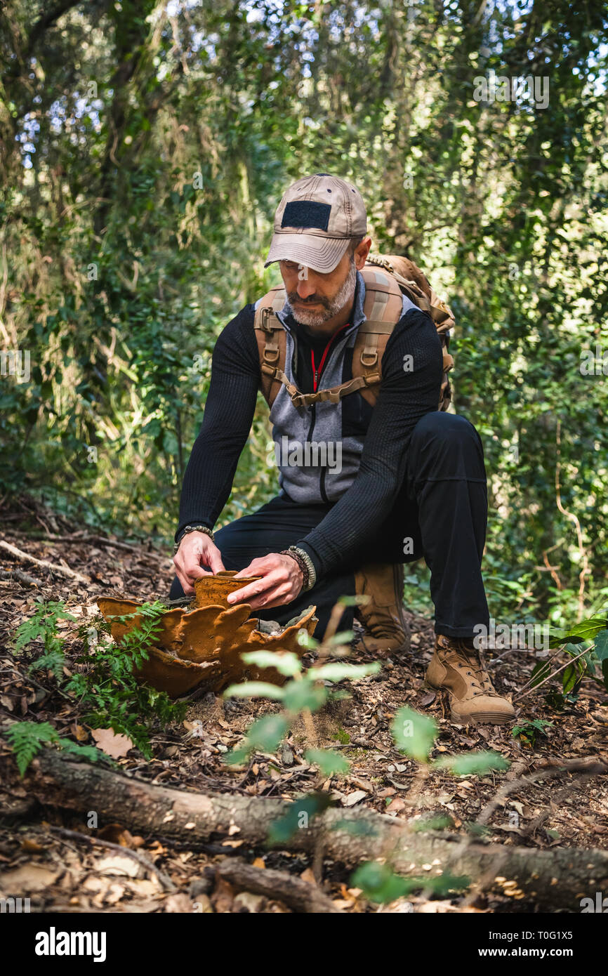 Active adventure man in a forest kneeling down to take some fomes fomentarius to make fire Stock Photo