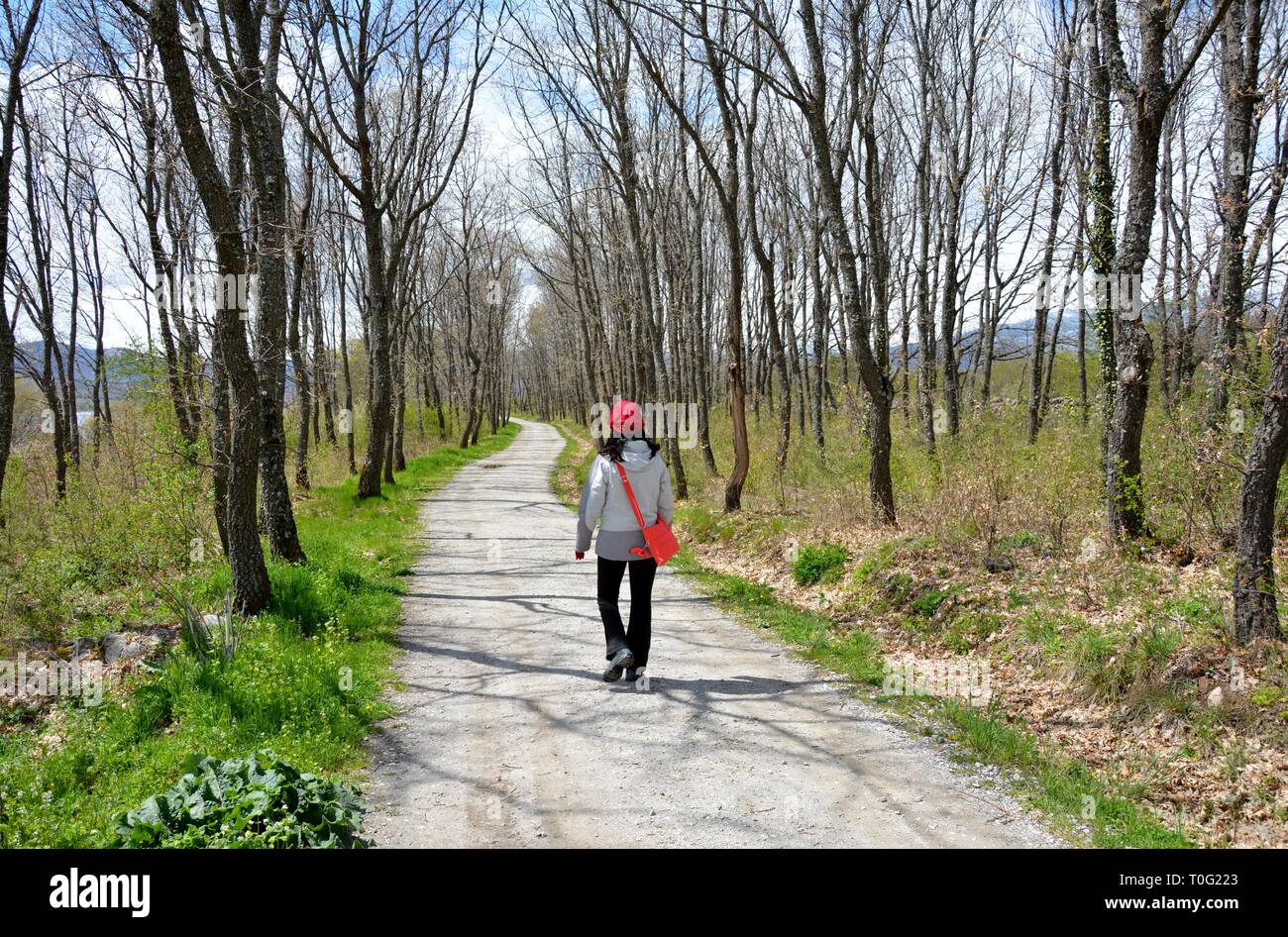 one person walking alone in the forest Stock Photo
