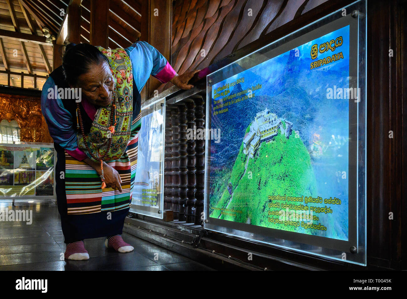 A Nepalese visitor looking at a map in Seema Malaka, Colombo, Sri Lanka Stock Photo