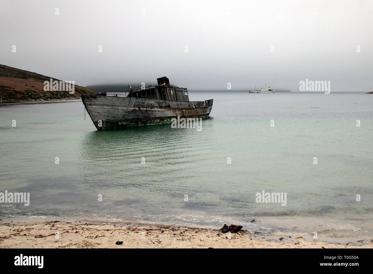 New Island Falkland Islands, shipwrecked boat in bay Stock Photo