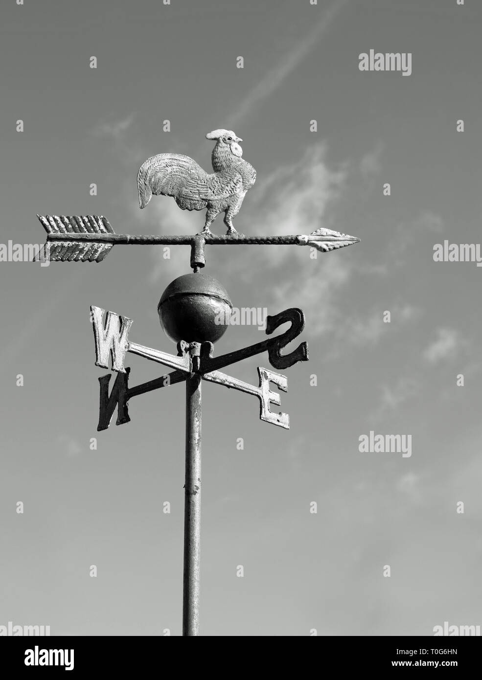 old wind vane with cock in iron with vintage effect Stock Photo Alamy