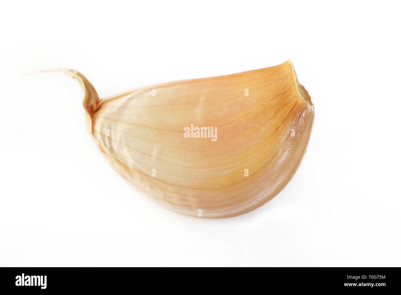 Garlic cloves isolated on white background Stock Photo - Alamy