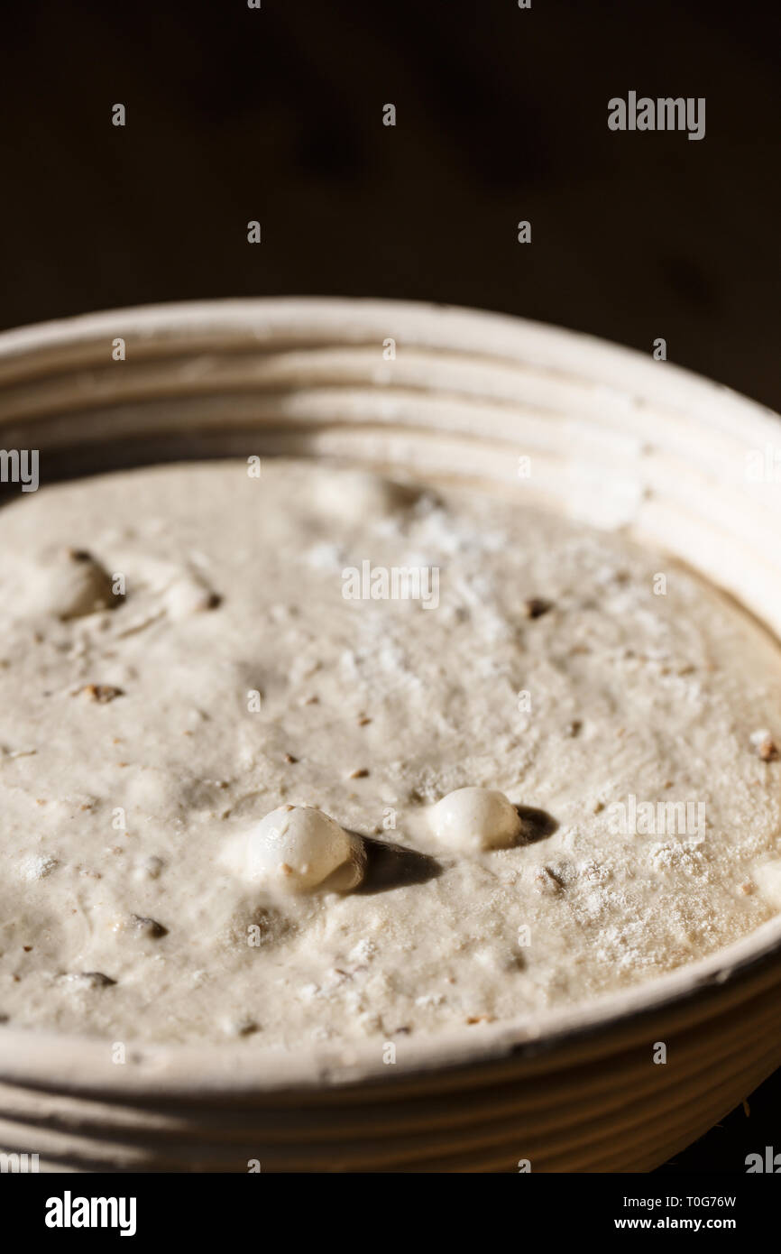 Sourdough bread proofing in a basket with visible gas bubbles. Homemade