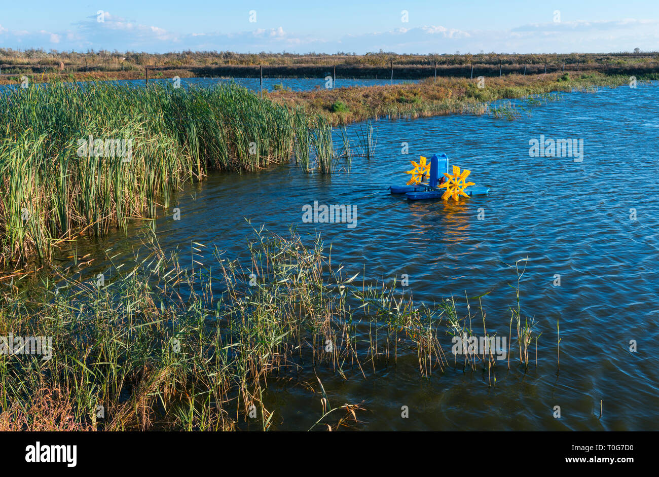 Aquaculture, Danube Delta, UNESCO WORLD HERITAGE, Tulcea County, Romania, Europe Stock Photo