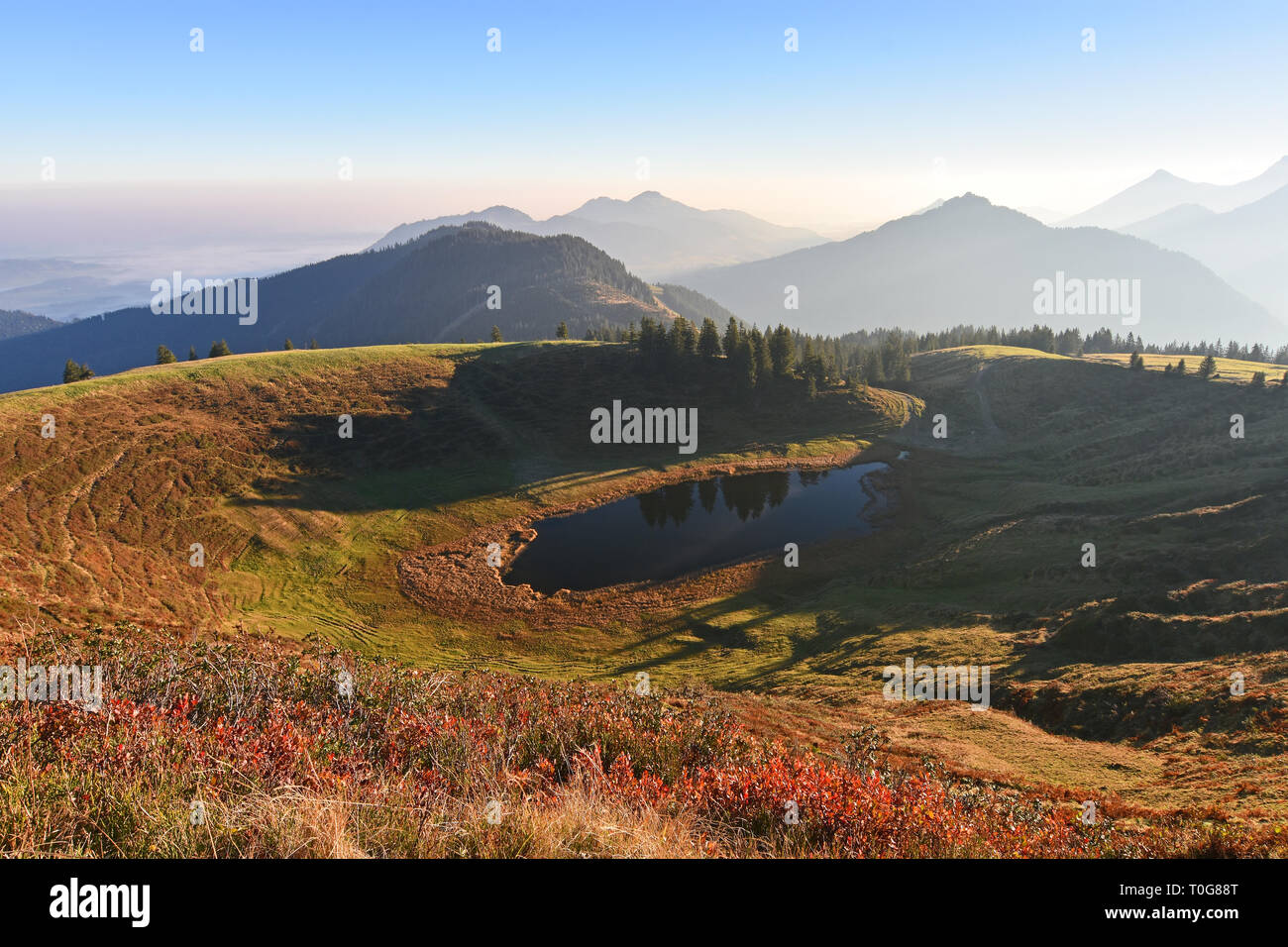 Colorful morning light at a mountain in the Allgaeu Alps (Bavaria, Germany). Bright red grass and forest with a little lake. Stock Photo