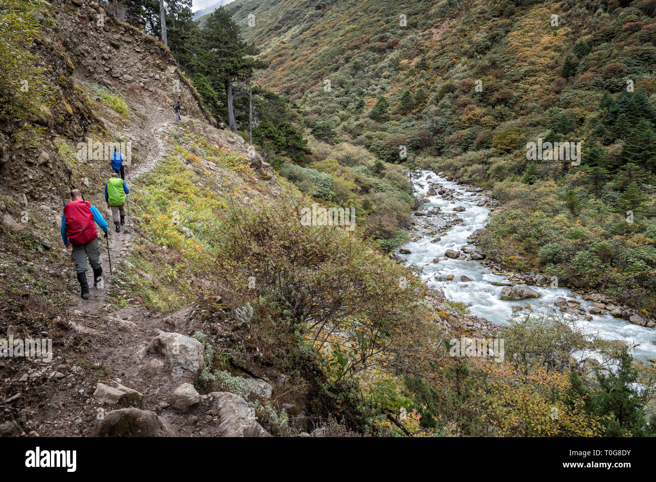 Trekkers on the way to Rodophu, Gasa District, Snowman Trek, Bhutan Stock Photo