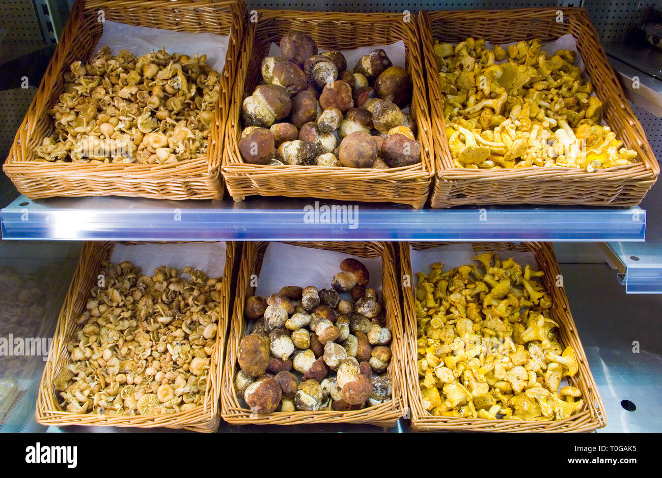 Various types of fresh mushrooms displayed in baskets for sale in a specialist shop. Stock Photo