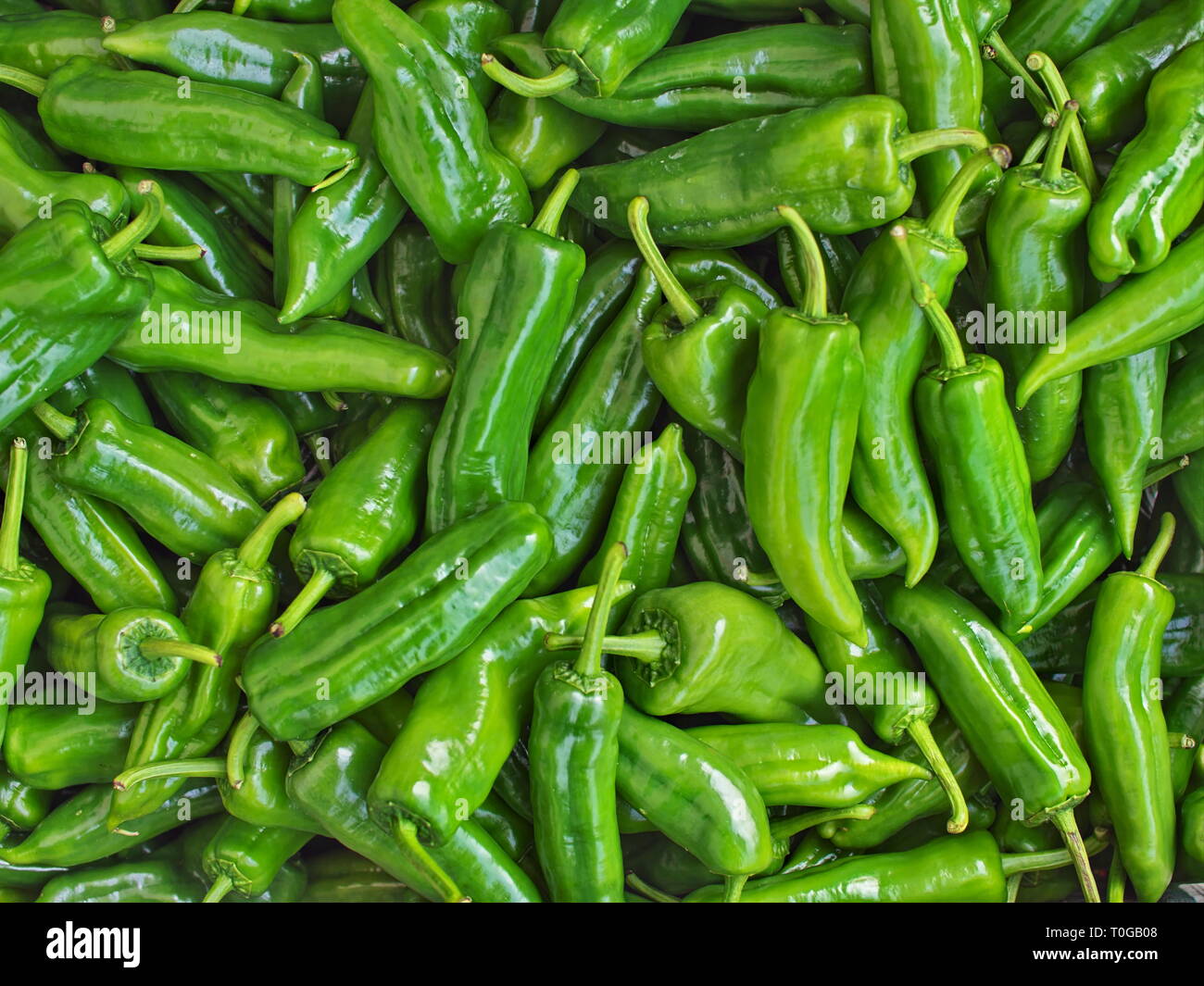 Green peppers on the street market stall Stock Photo - Alamy